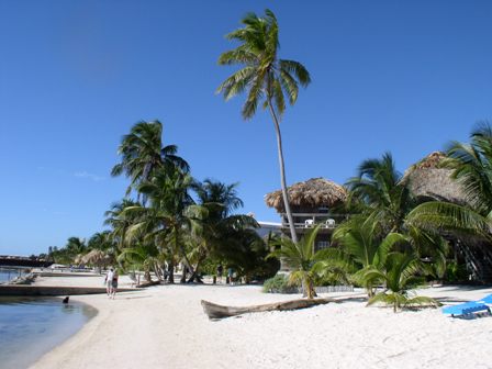 Ambergris Caye